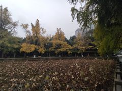 -四川大学(华西校区)