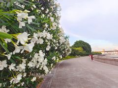 -钱塘江