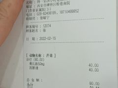 -特一安24小时宠物医院·骨科·中兽医