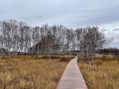 -塞罕坝国家级自然保护区