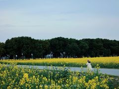 -中国天府农业博览园