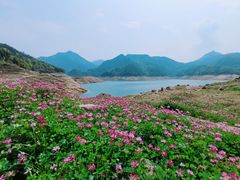 -泽雅景区