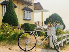 -黄色小屋