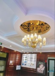 -南京医科大学友谊整形外科医院