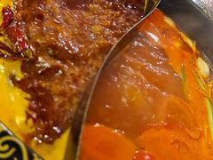 -重庆川渝肥妹火锅