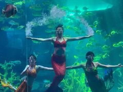 -泉城欧乐堡海洋极地世界