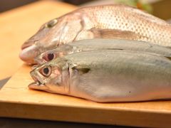 -鳥喜Toriki怀石烧鸟料理