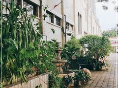 -more than meow吴止猫主题餐厅(承德 中船汇店)