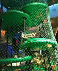 -恐龙探索乐园(磁器口店)