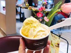 -哈根达斯(西安北郊店)