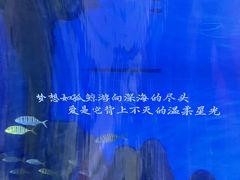 -重庆欢乐海底世界