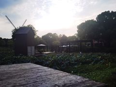 -美兰湖景区