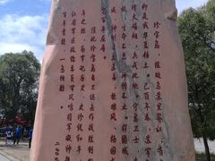 -珍宝岛