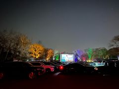 -枫花园汽车电影院(朝阳公园店)