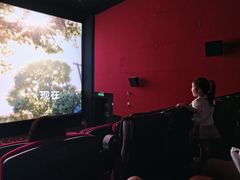 -万达影城(惠济万达广场IMAX店)