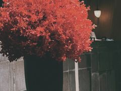 -上海柏悦酒店