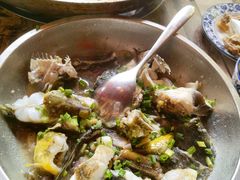 水库大头鱼-食德喜·阳山鸡王食研基地