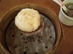 -世新养生馆