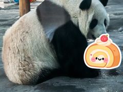-秦皇岛野生动物园