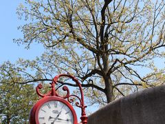 -三鹰之森吉卜力美术馆