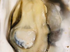 疏压生蚝-海食焗(新光天地店)