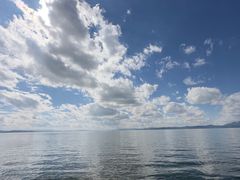 -呈贡滇池生态湿地公园