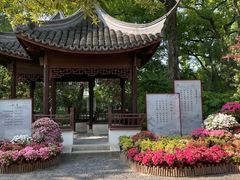 -上海醉白池公园