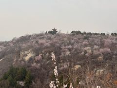 -白水寺森林公园
