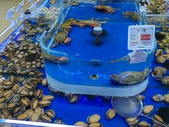 -哈尔信阳光农园超市(沈阳三台子万象汇店)