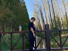 -黄海国家森林公园