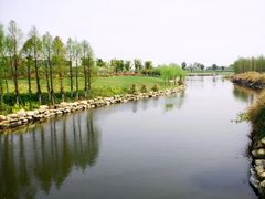 -九里河湿地公园