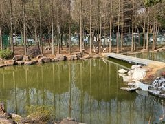 -无锡动物园·太湖欢乐园