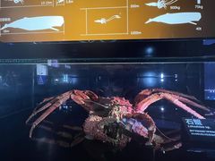 -同济大学四平路校区深海探索馆