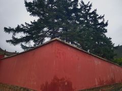 -瞿昙寺