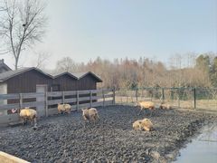 -溱湖国家湿地公园