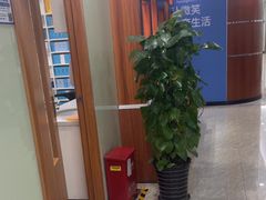-茂菊口腔连锁(浦东南路店)