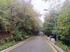 -贵州省植物园