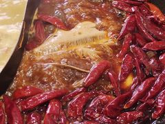 -朱光玉火锅馆(正弘城店)