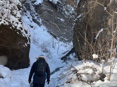 -峡谷浮石林景区