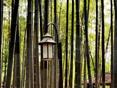 -宝岩生态观光园