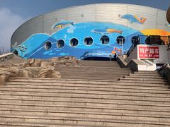-海合安青岛极地海洋公园