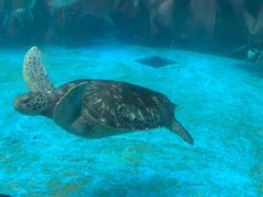 -海合安成都极地海洋公园