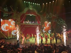 -珠海横琴长隆《卡卡虎奇遇记》