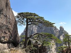 -黄山风景区