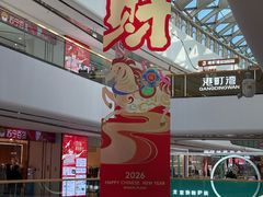 -万达广场(龙湖店)