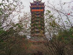 -塔子山公园