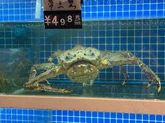 -金龙·打边炉(南京西路店)
