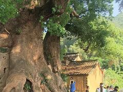 -杨家堂村