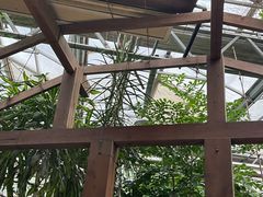-金稼园·金平湖农家菜