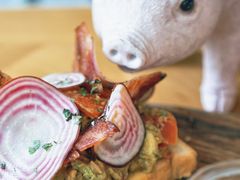 -WHEN PIGS FLY当猪飞